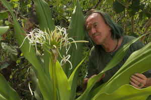 Patrick Blanc observing the flowers of Crinum asiaticum, Macleod Is.,Tanintharyi, Myanmar, Jan. 2018
