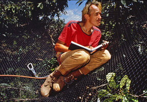 Patrick Blanc observing the growth habits of the mature tree crowns on the Canopy Raft, Radeau des Cimes, photo by Raphael Gaillarde