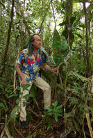 Patrick Blanc observing the huge erect leaves of the monocaulous litter trapping Tapeinosperma megaphyllum,  Waisali, Vanua Levu, Fiji, Aug. 2016