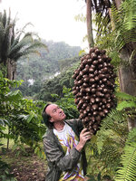 Patrick Blanc observing the huge infructescence of Attalea cohune, Candelaria Lodge, Alta Verapaz, Guatemala, Jan. 2020