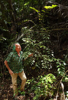 Patrick Blanc observing the leafy stems of Amborella trichopoda, Col d&#039;Amieu, New Caledonia, Aug. 2023