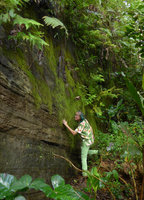 Patrick Blanc observing the mosses covering permanently seeping vertical rock, Suva, Viti Levu, Fiji, Aug. 2016