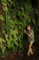 Patrick Blanc observing the pendant leaves of Begonia montis-elephantis, Mont des Elephants, Kribi, Cameroon, March 2018