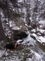 Patrick Blanc observing the persistant leaves of Rhododendron ferrugineum just above a forest torrent, Grisons, Switzerland, May 2016
