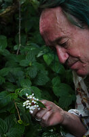 Patrick Blanc observing the Phyllopentas schumanniana inflorescence, way to Bondwa Peak, 1400 m asl, Uluguru Mts, Tanzania, Jan. 2021