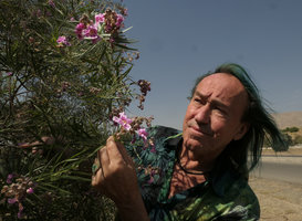 Patrick Blanc observing the pink flowers of Chilopsis linearis, Botanical Garden,Tehran, Iran, Sept. 2017