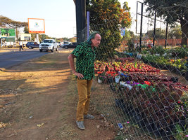 Patrick Blanc observing the plants in a street nursery, Lusaka, Zambia, Sept. 2017