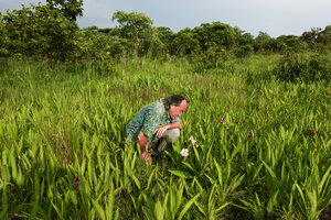Patrick Blanc observing the purple and white flower forms of a dense population of Siphonochilus kirkii in woodland savanna, Katavi NP, Tanzania, Jan. 2021