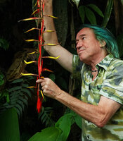 Patrick Blanc observing the red bracts and yellow flowers of Pitcairnia stevensonii, Mashpi FR, Pichincha, Ecuador, Aug. 2021