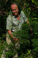 Patrick Blanc observing the rheophytic shrubby Phyllanthus myrtilloides, Alejandro de Humboldt NP, Cuba, Feb. 2017.jpeg