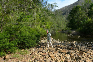 Patrick Blanc observing the rheophytic shrubby Phyllanthus myrtilloides and  Tabebuia moaensis, Alejandro de Humboldt NP, Cuba, Feb. 2017.jpeg