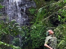 Patrick Blanc observing the saxicolous plants on vertical rocks in the spray of a waterfall, Banaue, 1700 m asl, Luzon, Philippines, April 2026