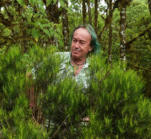 Patrick Blanc observing the shrubby Erigeron (syn. Darwiniothamnus) tenuifolius with needle leaves, Los Gemelos, Santa Cruz, Galapagos, Aug. 2021