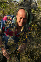 Patrick Blanc observing the simply pinnate leaves of Jacaranda cowellii growing on serpentine rocks, Holguin, Cuba, Feb.2017