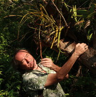 Patrick Blanc observing the sori of Pyrrosia longifolia, Pacitan, Java, May 2018