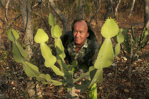 Patrick Blanc observing the stems of Euphorbia cooperi, Mumbo Island, Lake Malawi NP, Aug. 2017