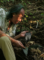 Patrick Blanc observing the upper and lower surfaces of the blackish shiny leaves of Aspidistra babensis, Ba Be NP, Vietnam, Nov. 2017