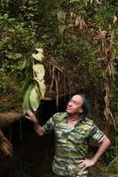 Patrick Blanc observing the withering stem of a saxicolous Hedychium, Hang Cop Waterfall, Dalat, Vietnam, Nov. 2019