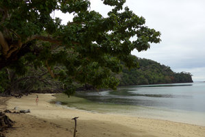 Patrick Blanc on a desert beach, Matangi, Taveuni, Fiji, Aug. 2016