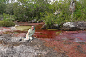 Patrick Blanc on slabs above a dense population of the deep red Macarenia clavigera, Cano Cristales, Serrania Macarena NP, Meta, Colombia, Oct. 2016