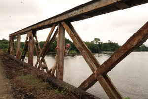 Patrick Blanc on the old bridge above the Nyong river, Edea, Cameroon, March 2018