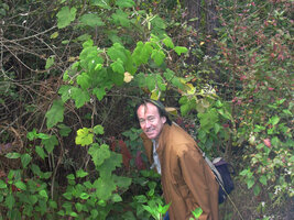 Patrick Blanc partly hidden by the foliage of a Rubus, Meghalaya, India, Dec. 2003