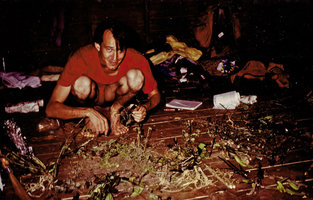 Patrick Blanc preparing botanical herbarium specimens, Khao Yai NP, Thailand, March 1983
