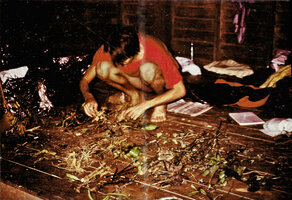 Patrick Blanc preparing herbarium specimens, Khao Yai NP, Thailand, March 1983
