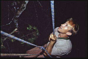 Patrick Blanc reaching the Canopy Raft at 35 meters above the ground, where he discovered Cercestis blancii during the ascention between forest floor and tree crowns, Ebodjé, Campo, Cameroon, Dec. 1991,photo by Pascal Héni
