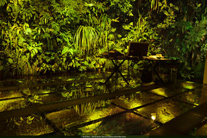 Patrick Blanc&#039;s desk just above the water tank covered by transparent glass in his jungle home as the main inspiration for the new Dreamscape Garden at terminal 2 in Changi airport, Singapore