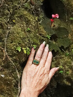 Patrick Blanc&#039;s hand, giving the scale for a flowering Begonia and an Argostemma species, maybe the smallest erect forest understory Angiosperm, Bantimurung, South Sulawesi