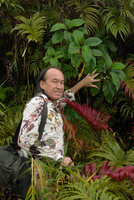 Patrick Blanc showing flowers and developing fruits of a Cyrtandra species, Des Voeux peak summit, Taveuni, Fiji, Aug. 2016