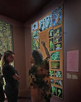 Patrick Blanc showing his work Selliguea at the exhibition Végétal l&#039;Ecole de la Beauté by Chaumet, Beaux Arts, Paris, June 2022