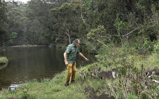 Patrick Blanc showing the leaning stems of the rheophytic Hedyotis flavescens, due to regular spates, Battalu Oya river, Fishing Hut, Maskeliya, Sri Lanka, Nov. 2024