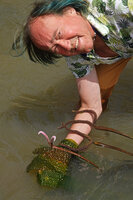 Patrick Blanc showing the leaves and inflorescences of the rheophytic Aponogeton boivinianus, Saharenana river, Madagascar, Aug. 2024