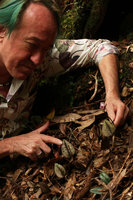 Patrick Blanc showing the leaves of Nephelaphyllum pulchrum, a totally cryptic terrestrial Orchid, Mt Kinabalu, Sabah, Borneo, Aug. 2018