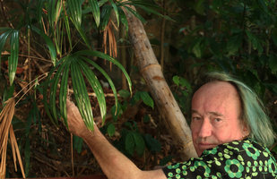 Patrick Blanc showing the leaves of Rhapis laosensis subsp. macrantha, Elephant Springs, Hue, Vietnam, Oct. 2018
