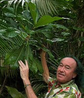 Patrick Blanc showing the sessile cauliflorous figs of Ficus pseudopalma, Tapilon, Cebu, Philippines, Dec. 2024
