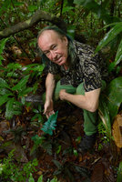 Patrick Blanc showing Trichomanes elegans with blue iridescent fronds, El Amargal, Arusi, Nuqui, Choco, Colombia, Nov. 2016