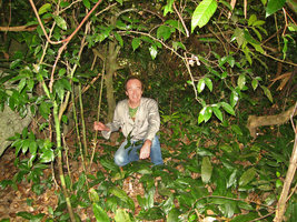 Patrick Blanc sitting among a vast population of an Aspidistra species, Halong Bay, Vietnam, Jan. 2007