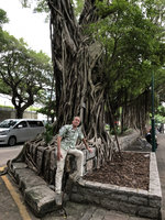Patrick Blanc sitting among the roots of Ficus microcarpa, Nathan Rd, Hong Kong, Aug. 2018