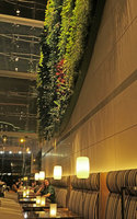 Patrick Blanc sitting at night in the restaurant just under the vertical garden of the Icon Hotel, Hong Kong, April 2017