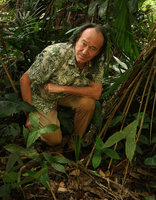 Patrick Blanc sitting behind the butterfly leaves of Nephthytis poissonii, Matomb, Yaounde, Cameroon, March 2018