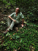 Patrick Blanc sitting close to Stenandrium warneckei, dense population carpeting the forest floor, Amani, 800 m asl, East Usambara, Tanzania, Jan. 2021