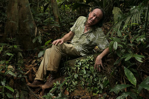 Patrick Blanc sitting on a small rock with the vertical face covered by a Codonoboea sp. population, Endau Rompin NP, Malaysia, April 2017