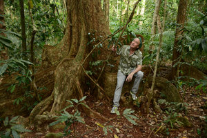 Patrick Blanc sitting on the buttresses of Dysoxylum pettigrewianum, Daintree, Queensland, Australia, Nov. 2012