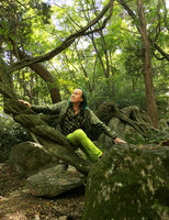 Patrick Blanc sitting on the stem of one of the numerous Wisteria floribunda in the forest around the Beomeosa Temple, Busan, South Korea, Oct. 2017