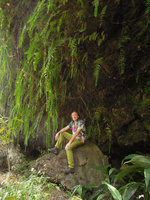 Patrick Blanc sitting under the hanging fronds of Nephroplepis biserrata, Grand Galet  waterfall, La Reunion, Oct. 2015