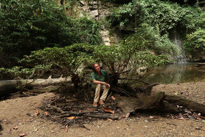 Patrick Blanc sitting under the rheophytic Myrmeconauclea strigosa, Gunung Mulu NP, Sarawak, Borneo, Sept. 2018