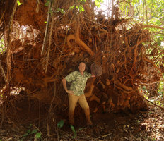 Patrick Blanc standing against an uprooted tree, Matomb, Yaounde, Cameroon, March 2018